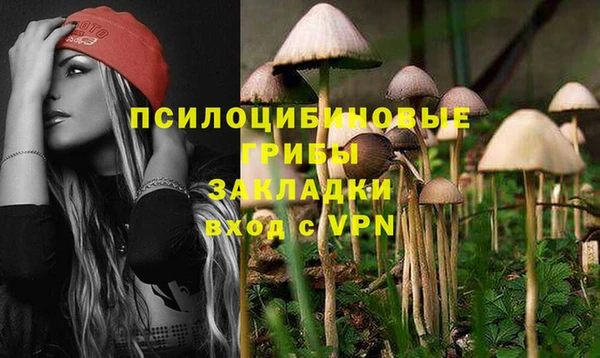 СК Алзамай