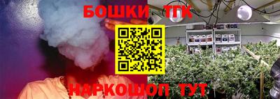 шишки Обь