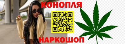 прущие грибы Партизанск