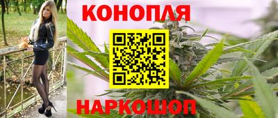 шишки Обь