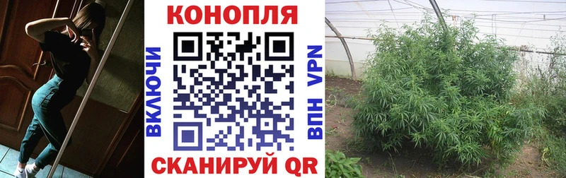 Шишки марихуана Amnesia  Череповец 